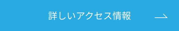詳しいアクセス情報 ボタン