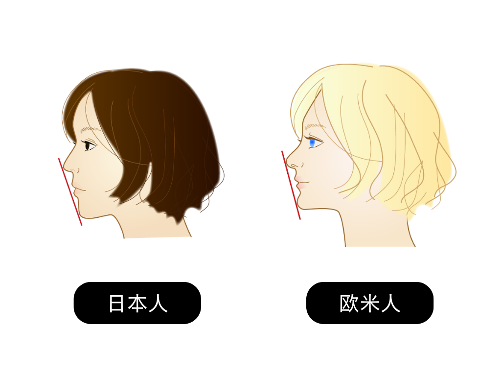 日本人とEラインの関係